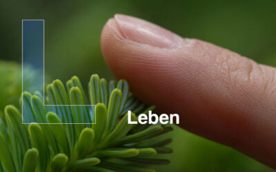 L – Leben