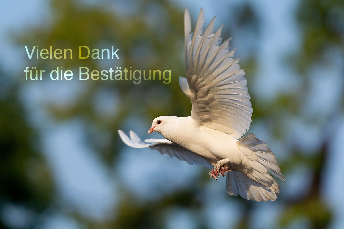 friedensbotschaften-thomas-laufmoeller-newsletter friedensbotschaften-thomas-laufmoeller-newsletter