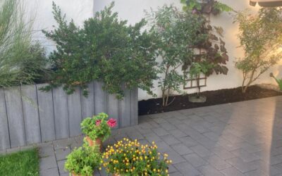 Friedensgebet mit Agapefeier am 27.09.2026