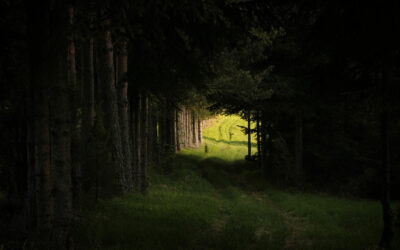 Am Ende des Tunnels ist ein Licht