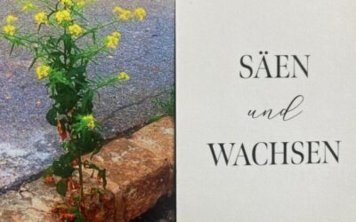 Säen und wachsen