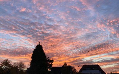 Älter werden und dabei das Licht des Lebens und die Freude bewahren